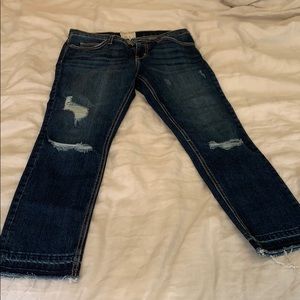 Current/Elliot jeans